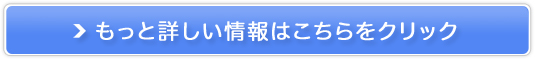 ނwAIC̔TCg